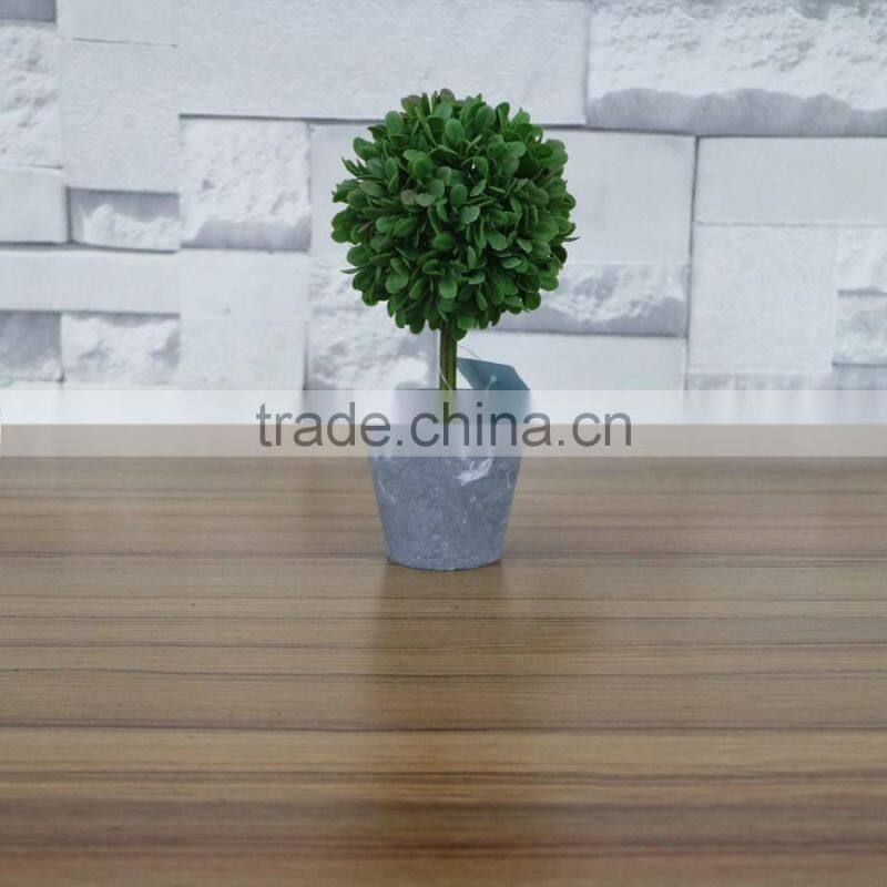 Table decorative mini potted boxwood leaves bonsai