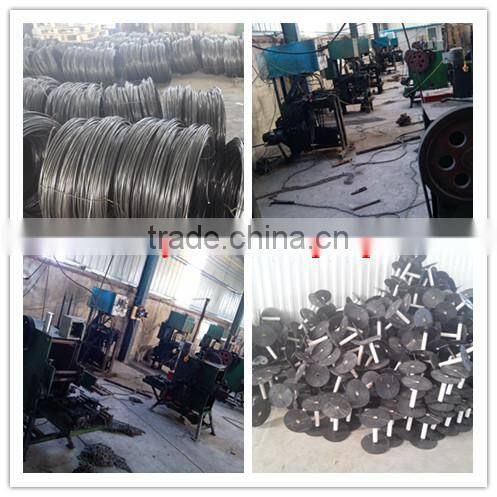 Linyi Shuguang Rigging Factory Hot Sale High Quality Electro Galvanized Animal Chain