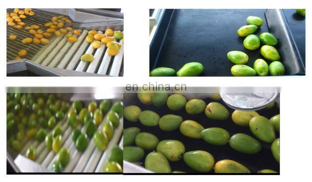 Fruit and vegetable Cleaning, Waxing, Drying and Grading Production Line