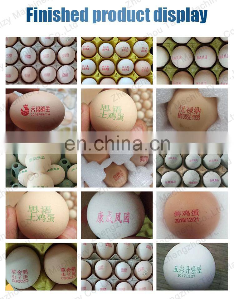 Eggs Expiry Date Printing Machine Egg Printer Ink Cartrige Inkjet Coding Machine