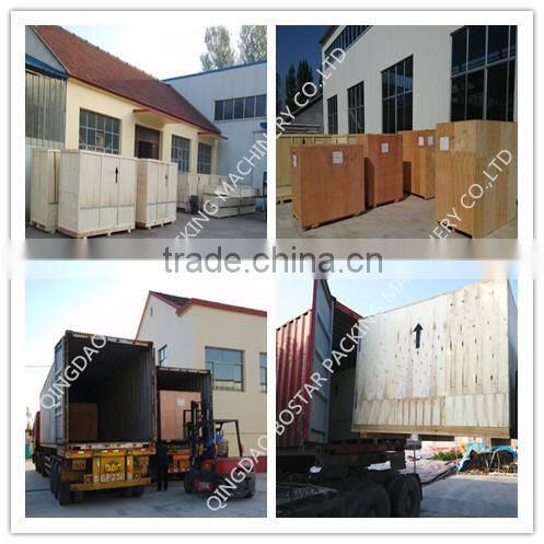 BOSD Automatic Horizontal Pillow Pack Shrinking Packing Machine with Shrinking Tunnel for Cups Daily Necessity Aquatic CE