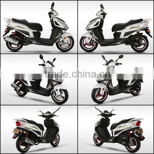 ZNEN --Its smart and beauty in scooter shop and on motorcycle fairing .It will attract a lot of scooter dealers