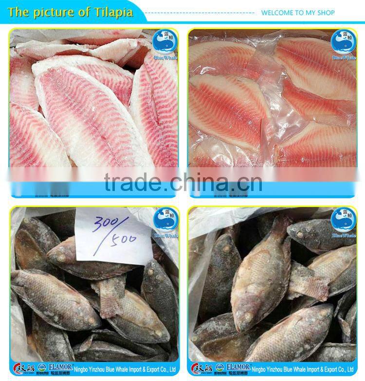 fillet tilapia price frozen tilapia fish