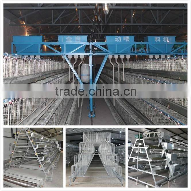 layer egg chicken cage/poultry farm house design layer chicken battery cage