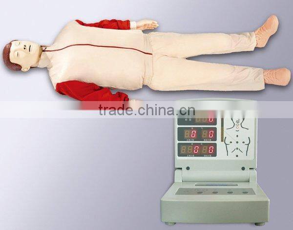 pathology Transparent teeth model