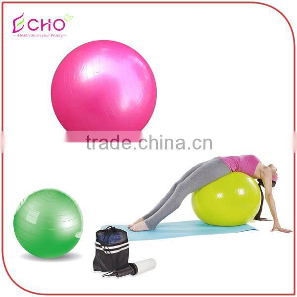 Gym Fitness 60 cm Explosion-proof Yoga Assistance Yoga Balance Ball
