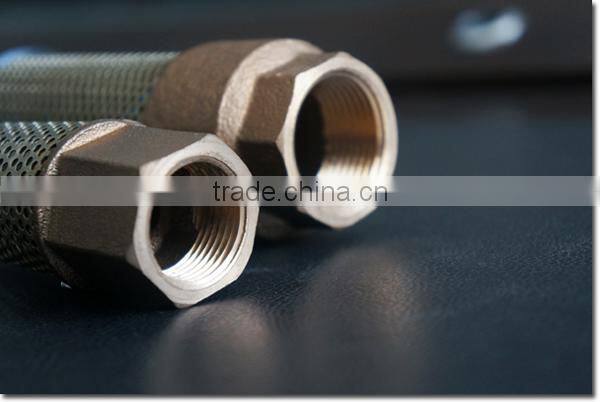 WD-1307 Bronze Spring Check Valve Foot Valve with net