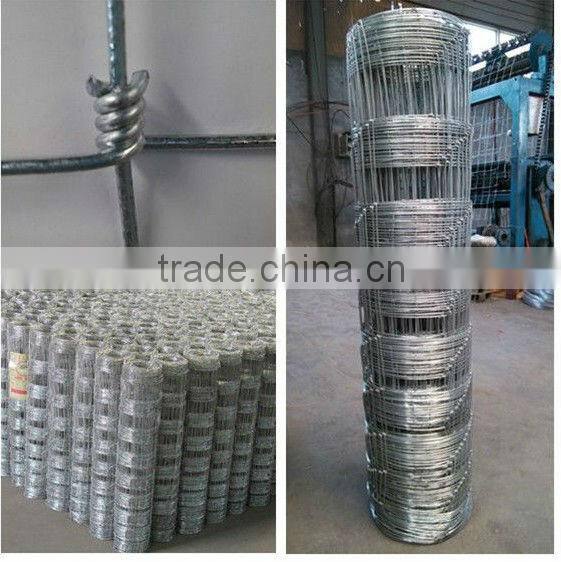 ISO 9001 stainless steel field fence
