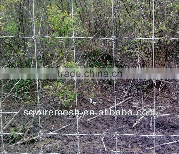 Anping Factory Field Fence