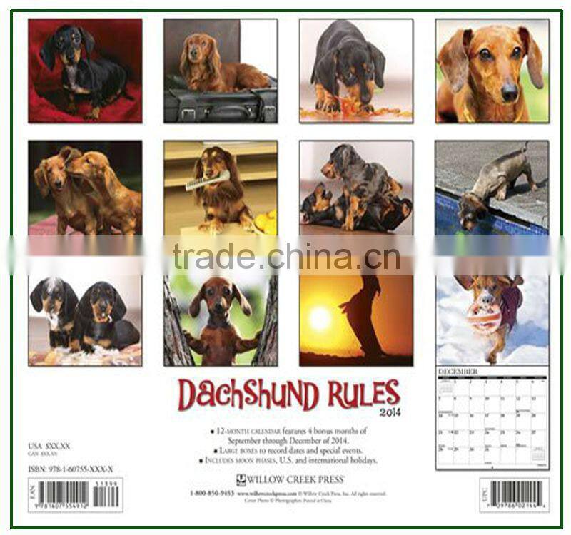 Dachshund Puppies 2014 Wall Calendar Cute Printing
