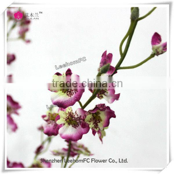 orchid flower plants wholesale phalaenopsis orchid plant
