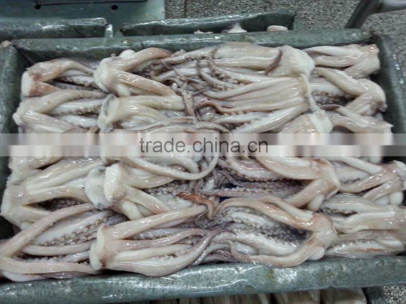 Frozen Squid Tentacle