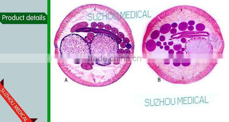 Competitive price microscope accessories glass parasitology slide set