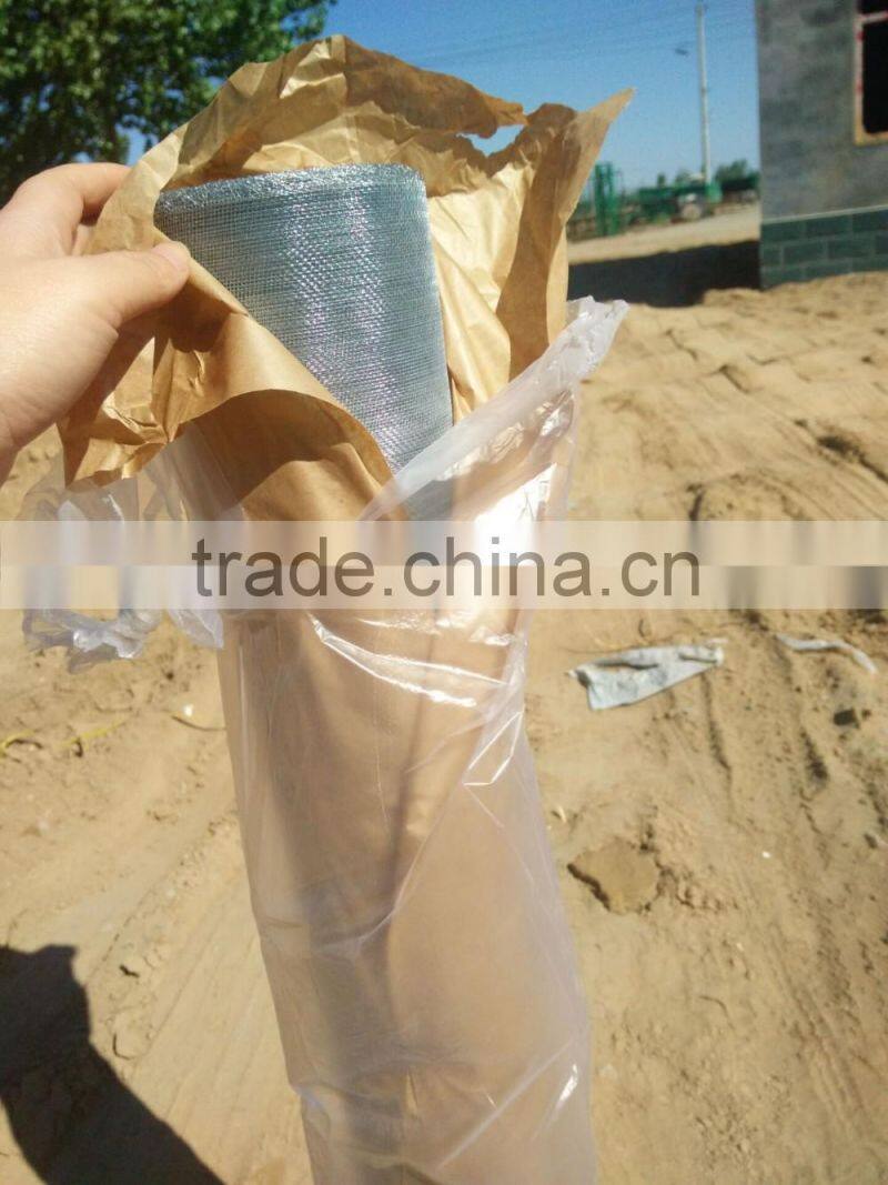 Galvanized iron window screen/green iron window screen for insect