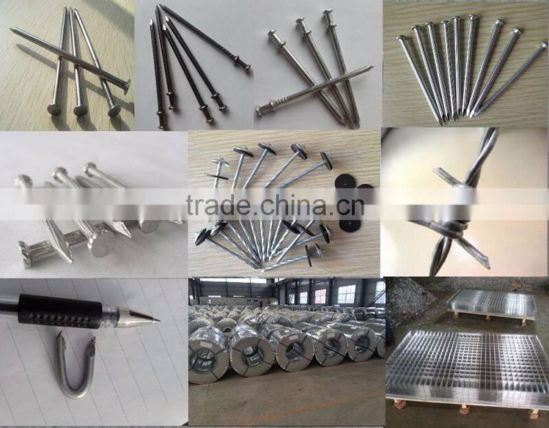 GALVANIZED CONCRETE NAIL