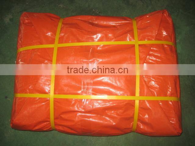 PE Tarpaulin Roll / Durable Coated PE Tarpaulin