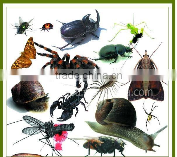 Solar killing & illuminating insect killer lamp pest control product for agriculture