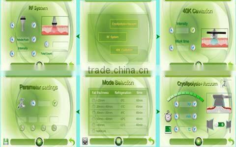 NEWS! Sales Promotion professtional 2 hand pieces Cryolipolysis cryo liposuction machine