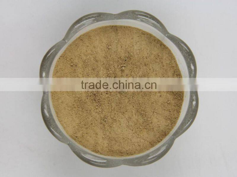 Pure natural Shitake Mushroom Powder / Shitake Mushroom Extract / Polysaccharides
