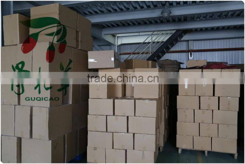 frozen red fresh medlar,goji fruit wolfberry,dried goji berry