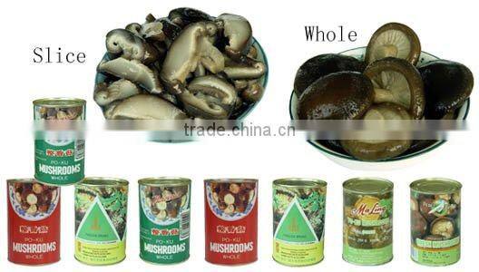 Chinese best quality canned shitake mushroom