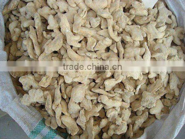 DRIED GINGER ROOT GINGER SEASONINGS