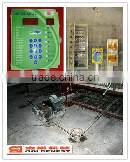 poultry automatic feeding and drinking system
