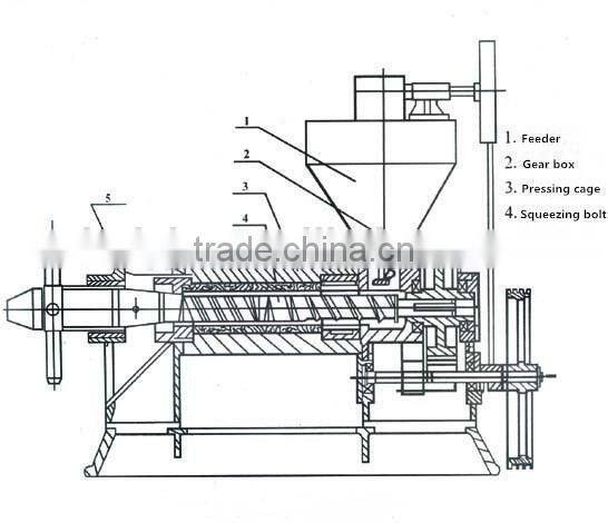Alibaba hot-sales peanut/seasame/sunflower seeds screw oil press machine