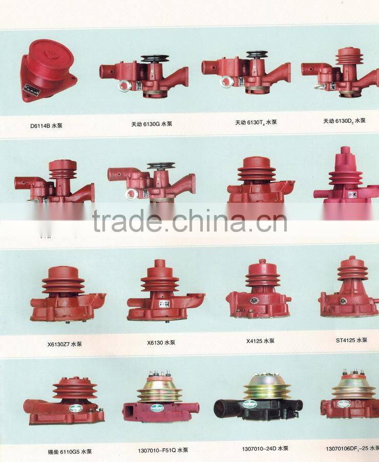 Automobile water pump