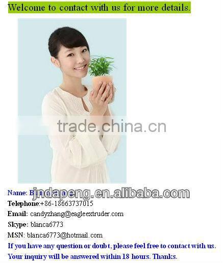 chips Snack food/food vacuum packaging machine (Packing Machine)