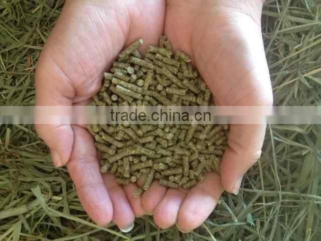 High quality 1t/h small animal feed pellet mill,small poultry feed mill