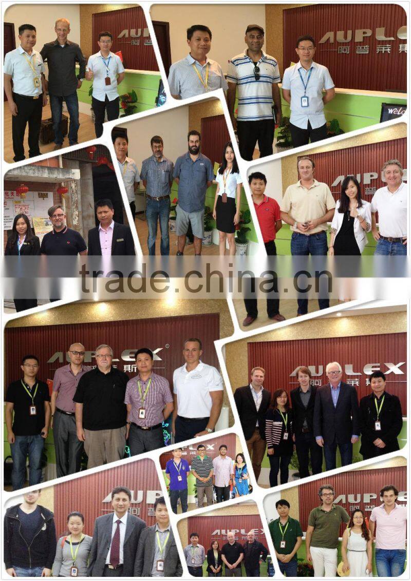 Auplex Hottest Cost Effective Fuzhou Heat Transfer Paper Press Machine