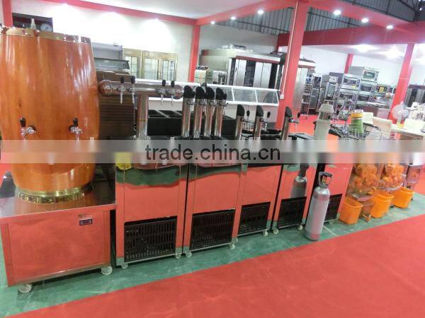 Stainless Stella Best Automatic Orange Juicer Machine(ZQW-2000E-5)