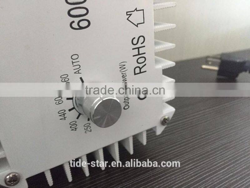 Hot selling 1000w 600w double ended reflector ballast