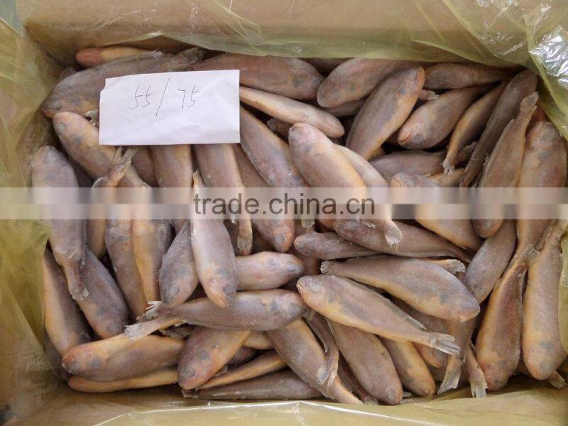 Frozen Yellow Croaker 55/75 g/pc