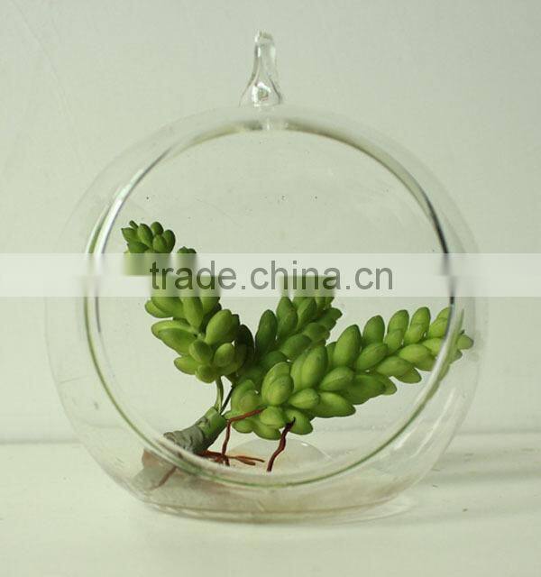 New art succulents mini succulent glass pot succulent