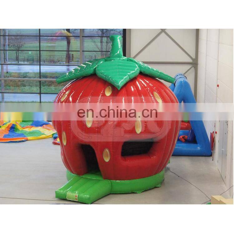 strawberry inflatable jumper bouncer  bounce house jumping bouncy castle