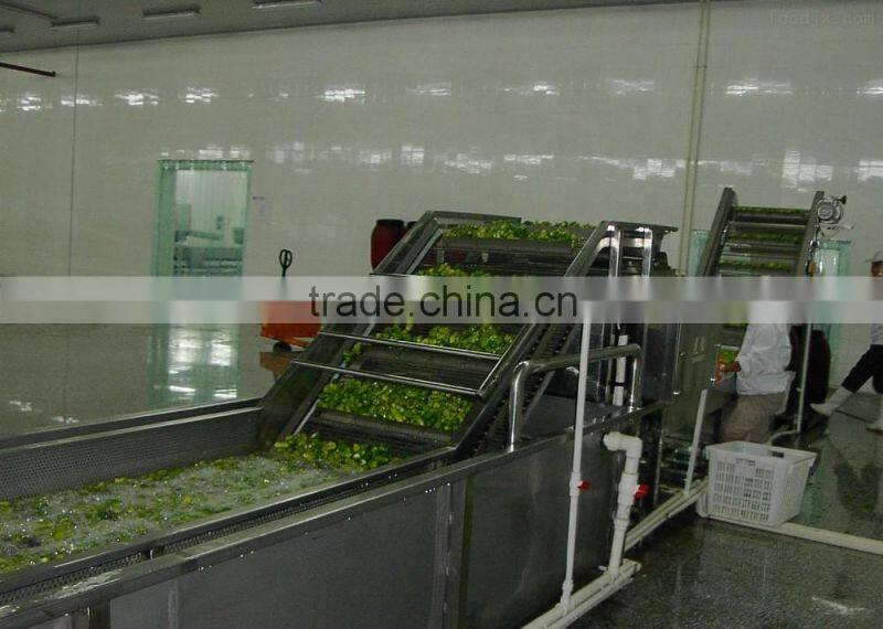 Industrial large capacity fruit and vegetable washing machine