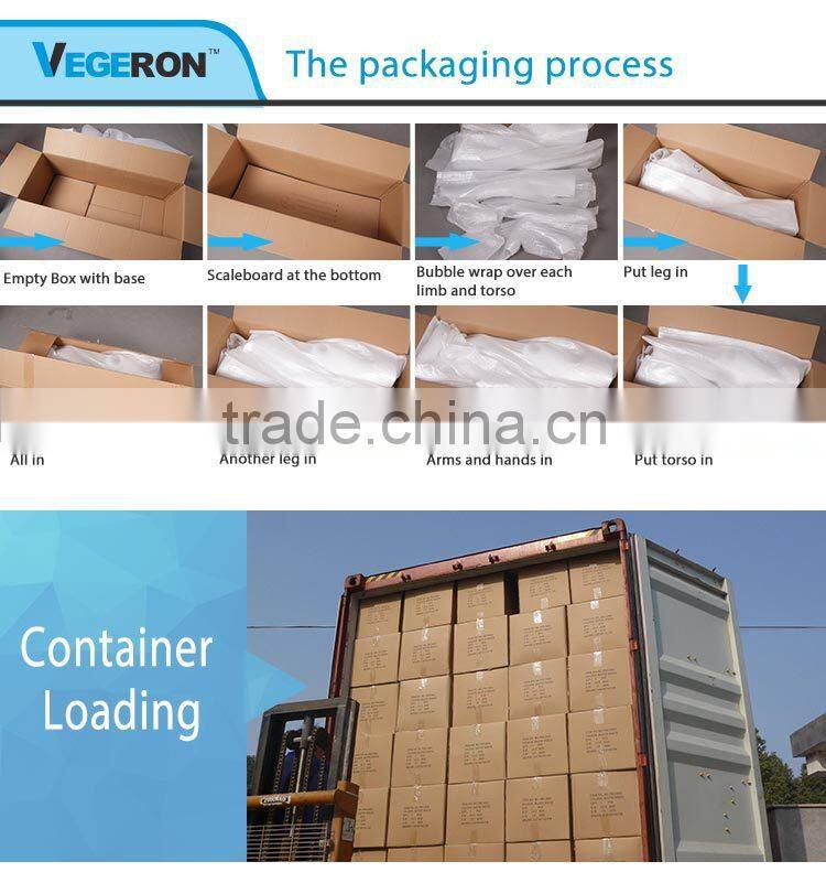 window display high quality fiberglass female torso mannequin