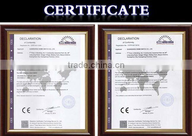 private label oem fashion luxury chinese wholesale automatic skeleton wristwatch man