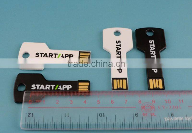 Key USB Drive Pen Drive USB Flash Drive with customized logo printing