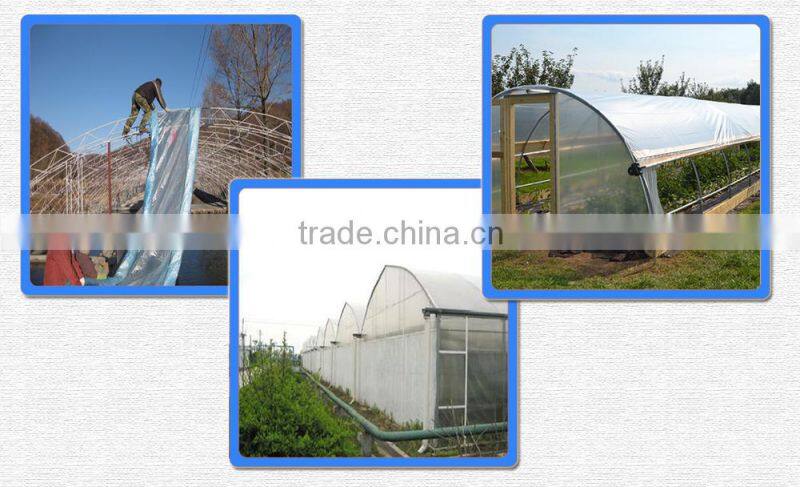 Virgin Material greenhouse film with factory price, PE greenhouse film.