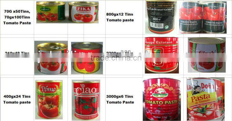 De Tomates Paste la pate de tomates400gx24tins