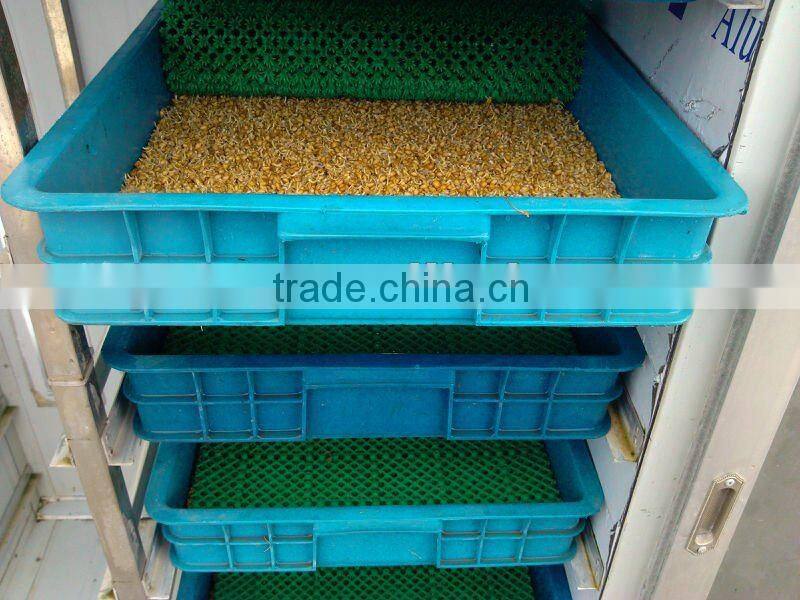 Bean Sprout/Animal Fodder Machine