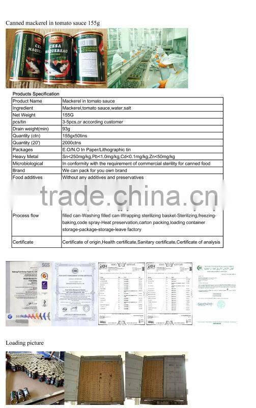 canned jack mackerel in tomato sauce 155gX50tins