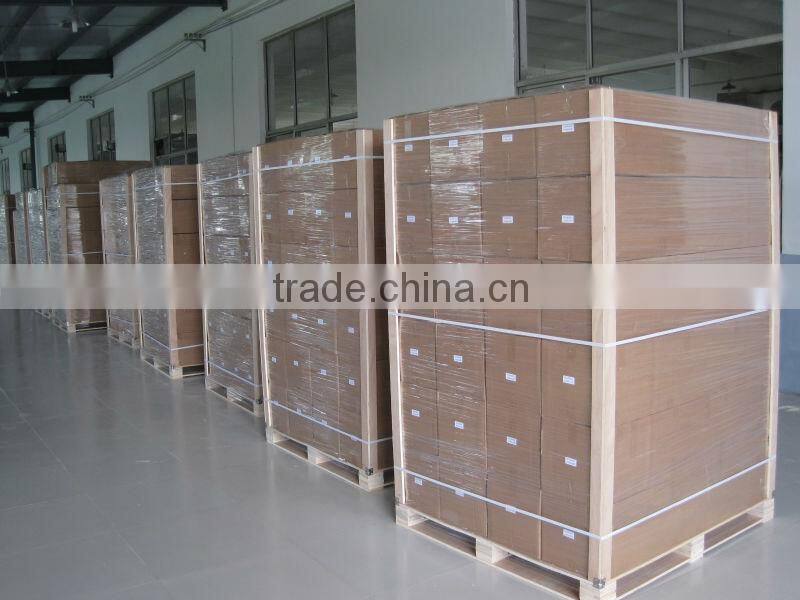 Inkjet Canvas Digital Printing 240gsm