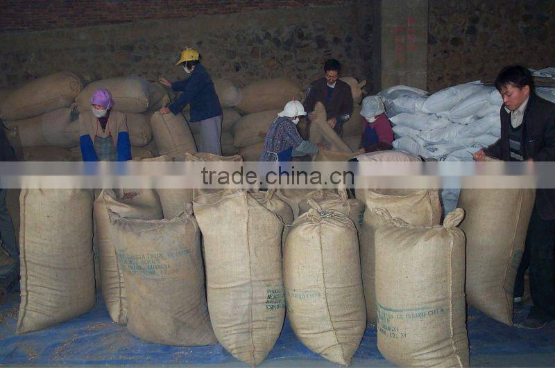 Chieses Economy Organic Galangal Roots