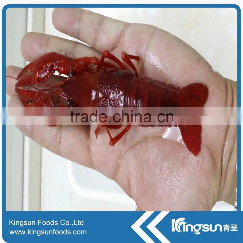 Best supplier Frozen water cooked crayfish / crawfish