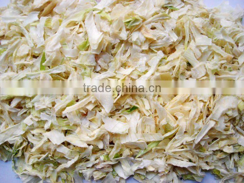 White Onion Slices dehydrated vegetable