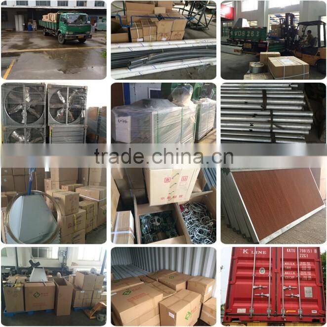 auto controlled chicken breeding machine poultry breeding equipment